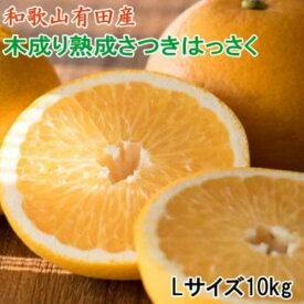 【ふるさと納税】こだわりの和歌山有田産木成り熟成さつき八朔10kg(Lサイズ) ★2025年4月より順次発送