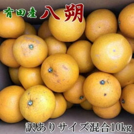 【ふるさと納税】【手選果・訳あり】有田産の八朔10kg（サイズ混合）★2025年1月中旬より順次発送