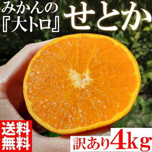 yӂ邳Ɣ[ŁzƂ ݂̑g 4kg 󂠂 uh a̎R Lc݂ _ƒ IW t[c ʕ