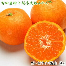 【ふるさと納税】【濃厚・まろやか】有田産樹上越冬完熟みかん5kg（2S～Mサイズ混合・秀品）★2025年1月下旬頃より順次発送