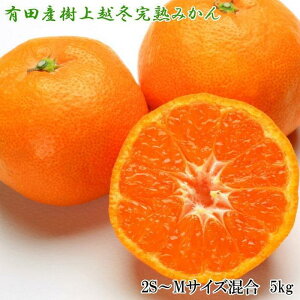 yӂ邳Ɣ[ŁzyZE܂₩zLcYz~n݂5kgi2S`MTCYEGij2026N1{菇