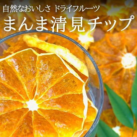 【ふるさと納税】ドライフルーツ きよみチップ 　和歌山県産 果物使用 自社製造 【みかんの会】 | 和歌山 おやつ 果物 みかん 清見 きよみ オレンジ チップ 食べきり 取り寄せ 人気