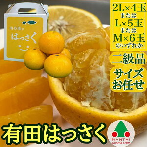 yӂ邳Ɣ[Łz  肳 Lc ͂ 2L ~ M 4~6ʓ ׉