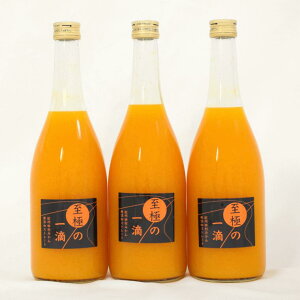 yӂ邳Ɣ[ŁzyYzc݂̐VN100W[Xuɂ̈Hv720ml×3{聚2025N2{菇mTM23wn |  ʎ hN Hi lC  
