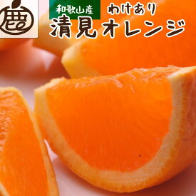 【ふるさと納税】＜2月より発送＞家庭用清見オレンジ2kg+60g（傷み補償分）訳あり | フルーツ 果物 くだもの 食品 人気 おすすめ 送料無料 光センサー食頃出荷 樹上完熟 きよみオレンジ 清見タンゴール 清美 わけあり