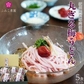 【ふるさと納税】紀州南高梅肉使用　丸ざる梅うどん5食セット