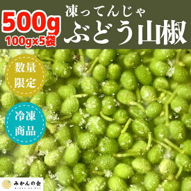 【ふるさと納税】【6月下旬出荷予定】冷凍山椒 凍ってんじゃ ぶどう山椒 500g ( 100g × 5袋 ) 和歌山県産 【みかんの会】 | 野菜 やさい 食品 人気 おすすめ 送料無料