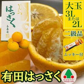 【ふるさと納税】手詰め 有田 はっさく 大玉 3L × 6玉 または 2L × 7玉 ちょっと 傷あり ムッキー 同梱 南泰園 みかん | フルーツ 果物 くだもの 食品 人気 おすすめ 送料無料
