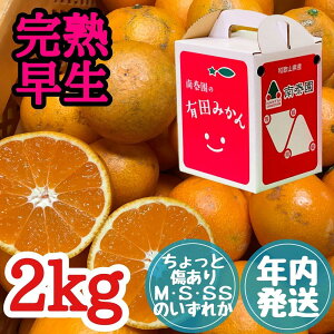 yӂ邳Ɣ[ŁzN Ə n Lc݂ M ~ SS TCY 2kg 肳 ݂ | t[c ʕ  Hi lC  