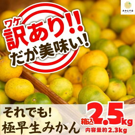 【ふるさと納税】訳あり 極早生 箱込 2.5kg (内容量約 2.3kg) サイズミックス 有田みかん 和歌山県産 【みかんの会】