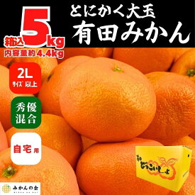 【ふるさと納税】みかん 大玉 どっこいしょ 箱込 5kg ( 内容量約 4.4kg ) 2Lサイズ以上 秀品 優品 混合 有田みかん 和歌山県産 産地直送 家庭用【みかんの会】 | フルーツ 果物 くだもの 食品 人気 おすすめ 送料無料