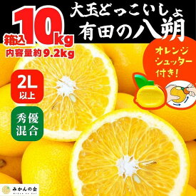 【ふるさと納税】八朔 (はっさく) 大玉 どっこいしょ 箱込 10kg (内容量約 9.2kg) 秀品 優品 混合 2Lサイズ以上 和歌山県産 産地直送【おまけ付き】【みかんの会】 | みかん 八朔 和歌山 大玉 秀 優 産地直送 和歌山県 有田川町 ふるさと納税 返礼品 故郷納税