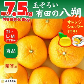 【ふるさと納税】八朔 (はっさく) 秀品 玉ぞろい 箱込 7.5kg(内容量約 6.8kg) 2L L Mサイズのいずれか 和歌山県産 産地直送【おまけ付き】【みかんの会】 | みかん 八朔 和歌山 大玉 秀 優 産地直送 和歌山県 有田川町 ふるさと納税 返礼品 故郷納税