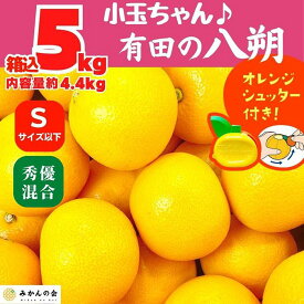 【ふるさと納税】八朔 (はっさく) 小玉ちゃん 箱込 5kg(内容量約 4.4kg) 秀品 優品 混合 Sサイズ以下 和歌山県産 産地直送【おまけ付き】【みかんの会】 | みかん 八朔 和歌山 大玉 秀 優 産地直送 和歌山県 有田川町 ふるさと納税 返礼品 故郷納税