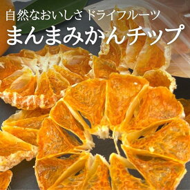 【ふるさと納税】ドライフルーツ みかんチップ 200g ( 20g × 10袋 ) 和歌山県産 果物使用 自社製造 【みかんの会】 | 和歌山 おやつ ドライフルーツ みかん 有田みかん チップ 食べきり 取り寄せ 人気