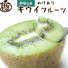 【ふるさと納税】［先行予約］わけあり キウイ5kg+250g（傷み補償分）［わけあり・訳あり・扁平果］ | キウイ フルーツ 果物 くだもの 食品 人気 おすすめ 送料無料 わけあり 扁平果
