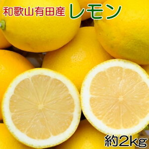 yӂ邳Ɣ[Łza̎RLcY Y 2kg 2026N2{菇mSʎn |  k t[c ʕ  Hi lC  