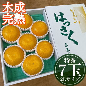 【ふるさと納税】4月 まで 木成 完熟 させた 有田 はっさく 特秀 大玉 2L × 7玉 化粧箱 南泰園 みかん