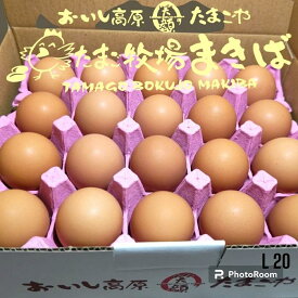 【ふるさと納税】おいし高原　庭さき卵Lサイズ20個入り | 卵 食品 人気 おすすめ 送料無料
