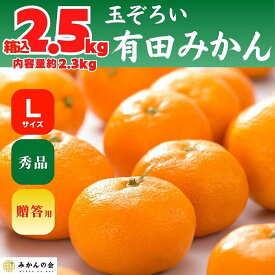 【ふるさと納税】みかん Lサイズ 秀品 箱込 2.5kg (内容量約 2.3kg) 有田みかん 和歌山県産 産地直送 贈答用 【みかんの会】 | フルーツ 果物 くだもの 食品 人気 おすすめ 送料無料