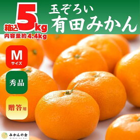 【ふるさと納税】みかん Mサイズ 秀品 箱込 5kg (内容量約 4.4kg) 有田みかん 和歌山県産 産地直送 贈答用 【みかんの会】 | フルーツ 果物 くだもの 食品 人気 おすすめ 送料無料