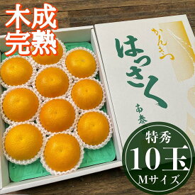 【ふるさと納税】4月 まで 木成 完熟 させた 有田 はっさく 特秀 M × 10玉 化粧箱 | 先行予約 和歌山 果物 くだもの フルーツ 柑橘 蜜柑 はっさく 木成り 完熟 特秀 化粧箱 ブランド 取り寄せ ご当地 期間限定