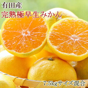 yӂ邳Ɣ[ŁzyIzIBLc̊nɑ݂7.5kg(TCY)2025N10{菇