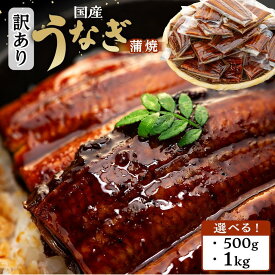 【ふるさと納税】【訳あり】国産 うなぎ 1食 パック 山椒 付き 合計500g タレ 15個 or 1kg ・ タレ 30個 数量限定 | うなぎ 鰻 ウナギ 国産 蒲焼き かばやき 冷凍 うな重 ひつまぶし お弁当 個包装 便利 訳あり ワケアリ 送料無料 お取り寄せ 和歌山県 有田川町 タレ 山椒