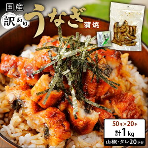 yӂ邳Ɣ[Łz󂠂 Y Ȃ  50g × 20pbN v 1kg R t ^ 20 t ʌ | Ȃ V   Y Hi lC  