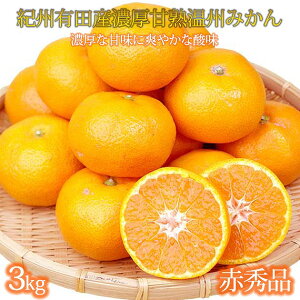 �y�ӂ邳�Ɣ[�Łz�ԏG�i�@�I�B�L�c�Y�Z�����n���B�݂���@3kg�iM�T�C�Y�܂���S�T�C�Y�j�m2026�N11�����{�ȍ~�����n�m��s�\��n�mUT12w�n | �݂��� ���n ���B �a�̎R �L�c ��s�\�� �ԏG 3kg �Z