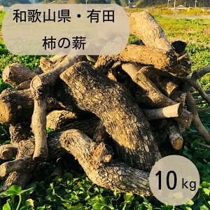 yӂ邳Ɣ[Łzd Lvp Lc `̐d10kg(̂) | AEghAObY lC  