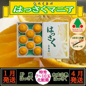 【ふるさと納税】1・4月発送 全2回 定期便 はっさく マニア 貯蔵 ＆ 木成完熟 特秀 7 ～ 10玉 和歌山 有田 南泰園 | フルーツ 果物 くだもの 食品 人気 おすすめ 送料無料