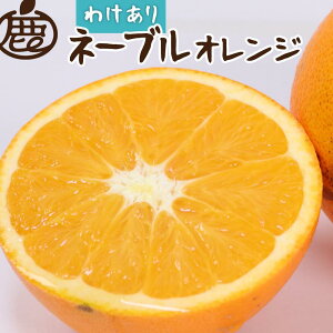 yӂ邳Ɣ[Łzms\nƒp l[uIW7.5kg+250giݕ⏞jm󂠂E킯nmZT[Iʁn | IW t[c ʕ  Hi lC  