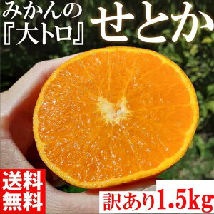 yӂ邳Ɣ[Łz݂ ̑g Ƃ 1500g 󂠂 uh a̎R Lc݂ _ƒ IW t[c ʕ