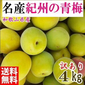 yӂ邳Ɣ[Łz~ 4kg IB썂~ VbvE~E~p a̎RLcY 󂠂@2026N5{`7{\ | ~  썂~ n ~ Gi a̎R ~p ~p ~V