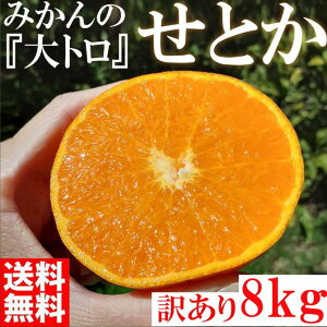 yӂ邳Ɣ[ŁzƂ ʖ-݂̑g a̎RLc쒬Y IW ƒp 8kg