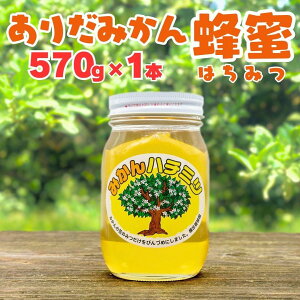 yӂ邳Ɣ[Łz肾݂Ii570g^ϔj | ݂͂ I ݂  k 蕨 Mtg p p t[o[ a̎R Lc쒬 ӂ邳Ɣ[ ԗi ̋[