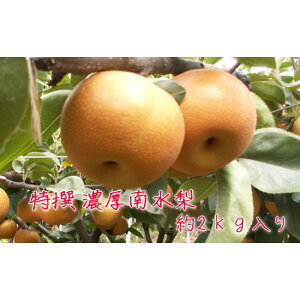yӂ邳Ɣ[ŁzLc  n  _ƒ 쐅  2kgys\z