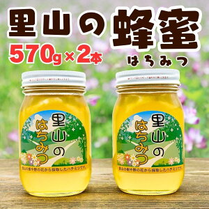 yӂ邳Ɣ[Łz肾R̖I 570g×2{Zbg ϔ | ݂͂ I ݂  k 蕨 Mtg p p t[o[ a̎R Lc쒬 ӂ邳Ɣ[ ԗi ̋[