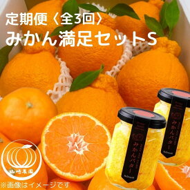 【ふるさと納税】みかん満足セットS | 定期便 全3回 フルーツ みかん 不知火 みかんバター 12月～2月 | みかん 蜜柑 フルーツ 果物 くだもの 食品 人気 おすすめ 送料無料 産地直送