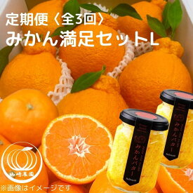 【ふるさと納税】みかん満足セットL | 定期便 全3回 フルーツ みかん 不知火 みかんバター 12月～2月 | みかん 蜜柑 フルーツ 果物 くだもの 食品 人気 おすすめ 送料無料 産地直送
