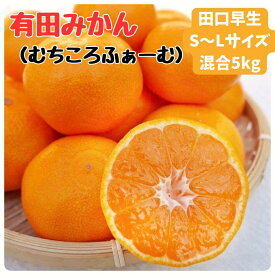 【ふるさと納税】有田みかん 早生S～Lサイズ混合 約5kg【2025年発送 先行予約】 | みかん 蜜柑 フルーツ 果物 くだもの 食品 人気 おすすめ 送料無料