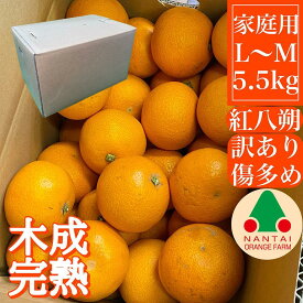 【ふるさと納税】家庭用 5.5kg 訳あり 傷多め 木成完熟 紅はっさく L または M サイズ 茶箱 南泰園【2026年4月上旬～発送】 | 和歌山 果物 くだもの フルーツ 柑橘 蜜柑 はっさく 紅はっさく 訳アリ 傷 箱入り 木成り 完熟 特秀 化粧箱 ブランド 取り寄せ ご当地 期間限定