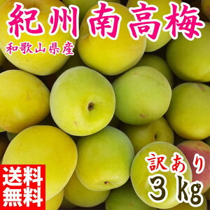 yӂ邳Ɣ[Łz~ 3kg 󂠂 IB썂~ VbvE~E~pȂ a̎RLcY 2026N5{`7{\ |  Hi lC  