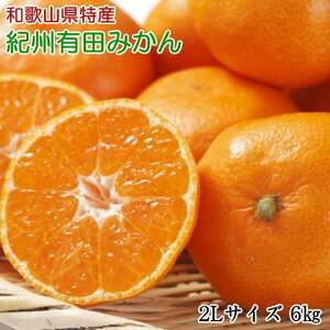 yӂ邳Ɣ[Łz[Gi]a̎RLc݂6kg(2LTCY) 2025N11{菇 | t[c ʕ  Hi lC  