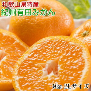 yӂ邳Ɣ[Łz[Gi]a̎RLc݂9kg(2LTCY) 2025N11{菇yTM85wz