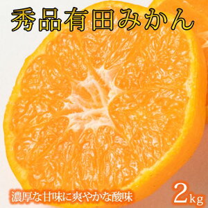 �y�ӂ邳�Ɣ[�Łz�I�B�L�c�Y�Z���Ïn���B�݂����2kg (2S �` L�T�C�Y�̂����ꂩ)�m2026�N11�����{�ȍ~�����n�m��s�\��n | �t���[�c �ʕ� �������� �H�i �l�C �������� �Y�n���� ��������