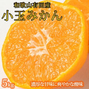 yӂ邳Ɣ[ŁzLc݂̏ 5kg (S`3STCY)m2025N11{ȍ~nms\nmUT134wn | t[c ʕ  Hi lC  Yn 