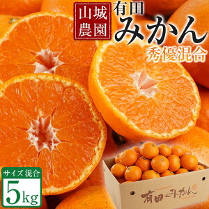 yӂ邳Ɣ[Łzys\zR_ a̎RY Lc݂ 5kg TCY _ ORYY lCNo.1 R~I | N ݂ ~J mikan Lc Lc 肾 a̎R  t[c 