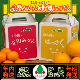 【ふるさと納税】《みかんは年内発送》定期便 手さげ箱 セット 完熟早生 有田みかん ＆ はっさく 全2回 南泰園